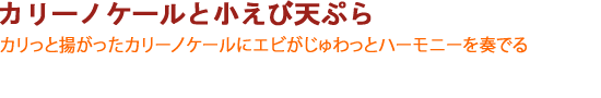 カリーノケールと小えび天ぷら