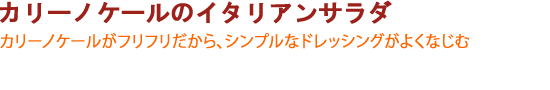 カリーノケールのイタリアンサラダ