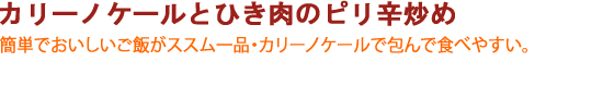 カリーノケールとひき肉のピリ辛炒め