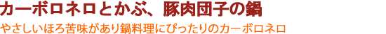 カーボロネロとかぶ、豚肉団子の鍋